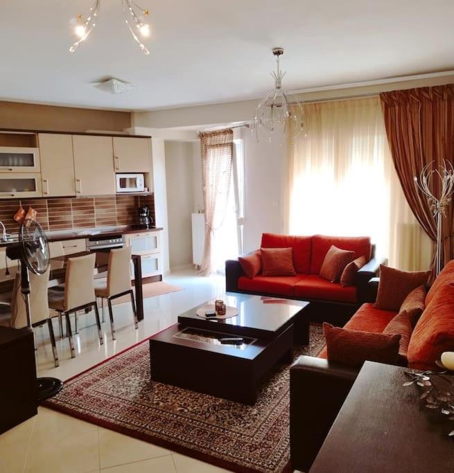 Evaggelia'S Apartments 5 Οικογενειακό Διαμέρισμα コザニ エクステリア 写真