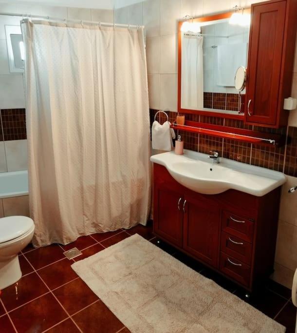 Evaggelia'S Apartments 5 Οικογενειακό Διαμέρισμα コザニ エクステリア 写真