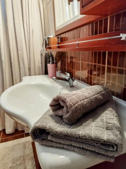 Evaggelia'S Apartments 5 Οικογενειακό Διαμέρισμα コザニ エクステリア 写真